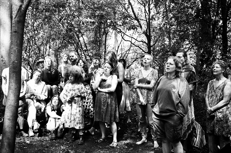 Come and sing with trees at Conham River