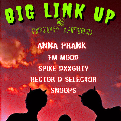 BIG LINK UP 02 at Cosies