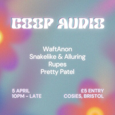 Coop Audio at Cosies