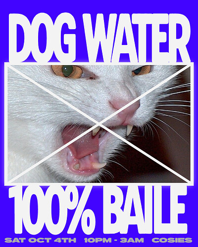 Dog water at Cosies