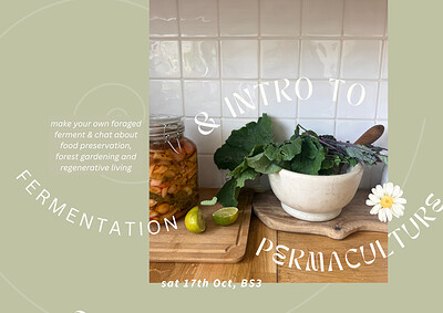 Fermenting  with friends at Cosy home and eco atelier near Victoria Park