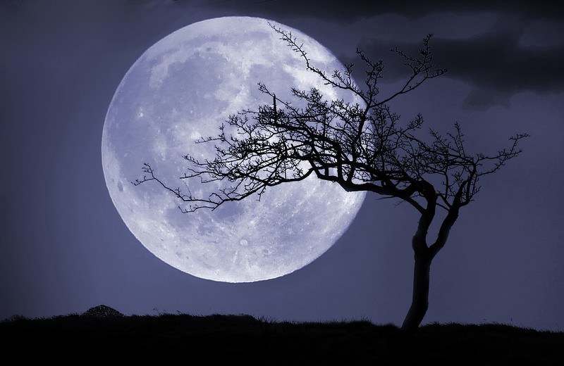 A New Way of Being: Monthly Full Moon Circle at Crafts & Curious, The Galleries, BS1