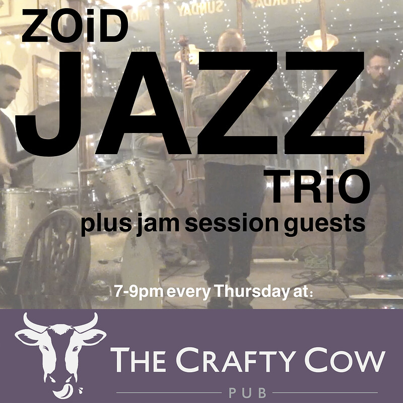 ZOiD Jazz Trio at Crafty Cow