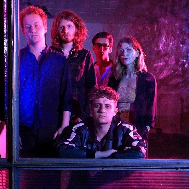 Cosmo Calling / Lovepet Horror at Crofters Rights
