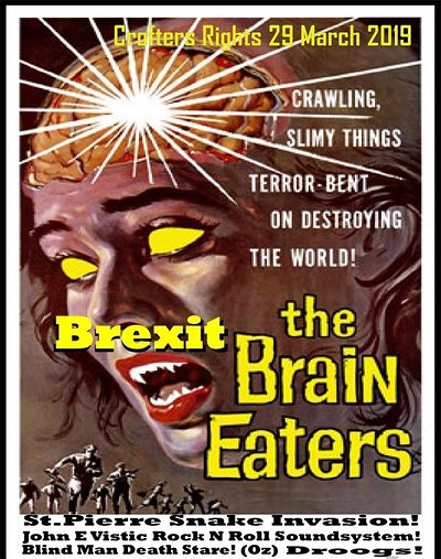 The Brexit PUNK ROCK Break Down at Crofters Rights