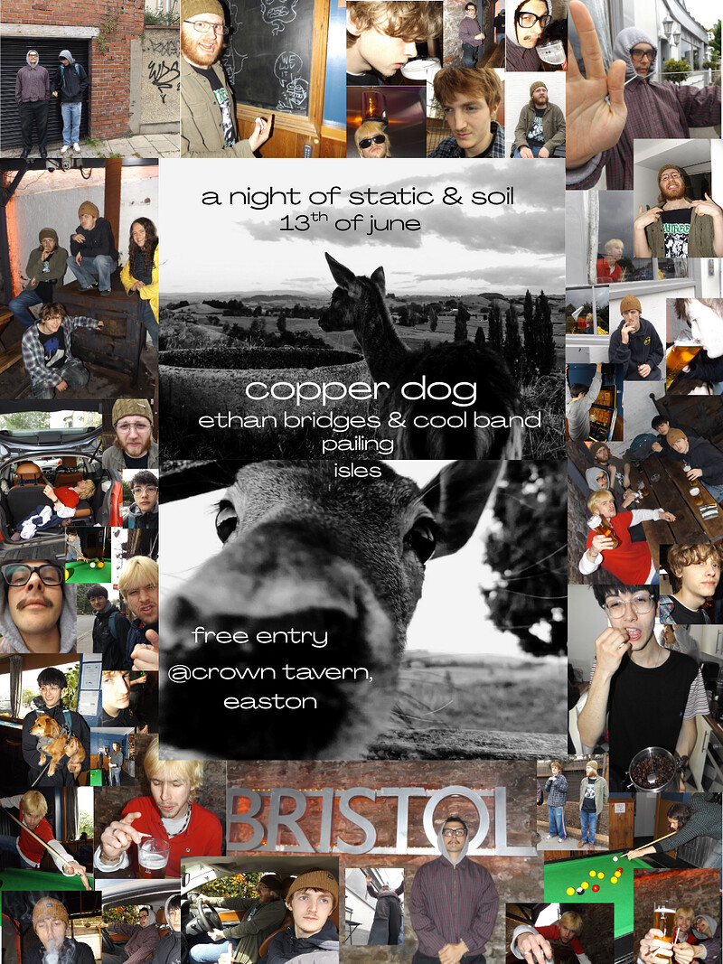 Static & Soil night/Copper Dog w friends @ at Crown Tavern