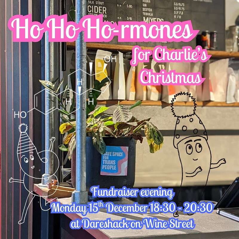Ho Ho Ho-rmones for Charlie's Christmas at Dareshack - Vintry Building, 20 Wine St, Bristol BS1 2BD
