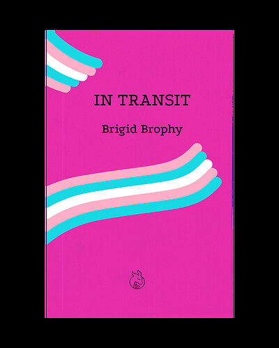 Lurid Editions: On Brigid Brophy's *In Transit* at East Bristol Books