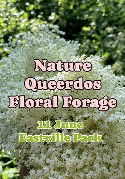 Nature Queerdos: Floral Forage at Eastville Park
