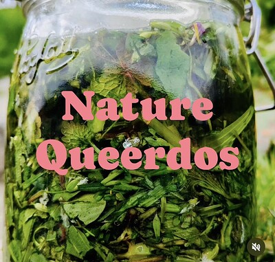 Nature Queerdos: Spring tonic at Eastville Park