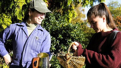 Foraging in Spring · small group · materials included · all abilities at Eastwood Farm, BS4