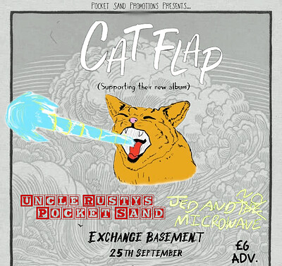 Cat Flap at Exchange