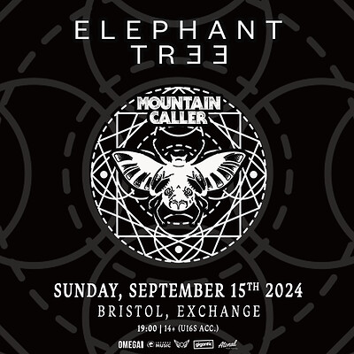 Elephant Tree at Exchange