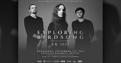 Exploring Birdsong at Exchange