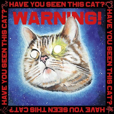 Have You Seen This Cat? at Exchange