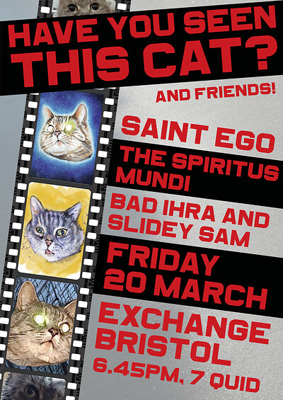 Have You Seen This Cat? at Exchange