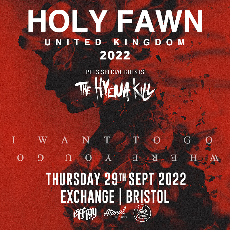 Holy Fawn at Exchange