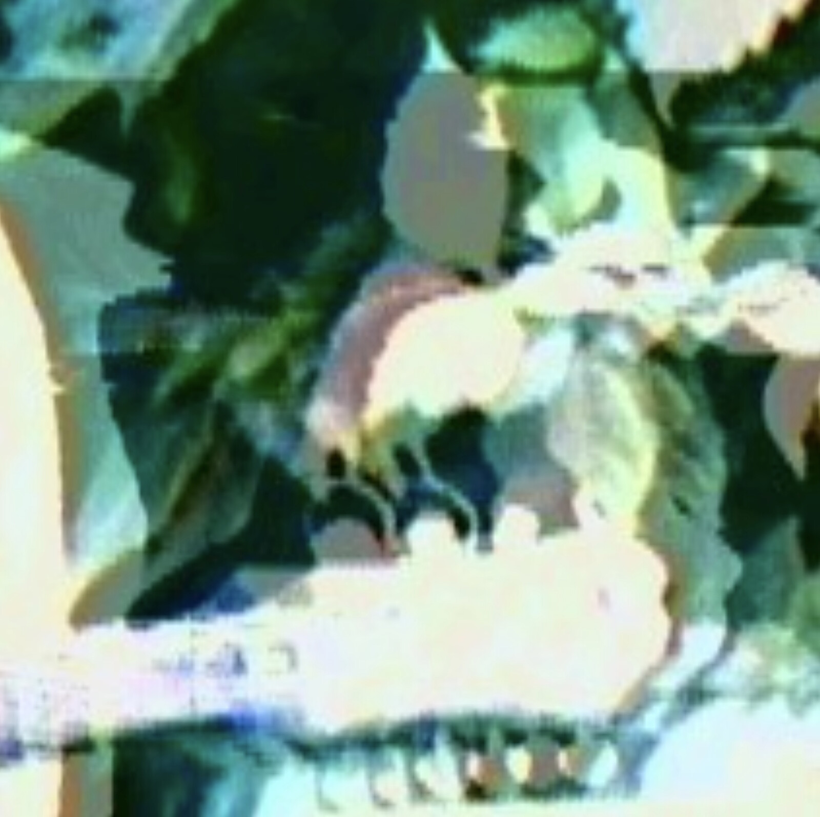 Prince Regent at Exchange