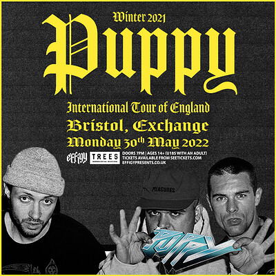 Puppy at Exchange