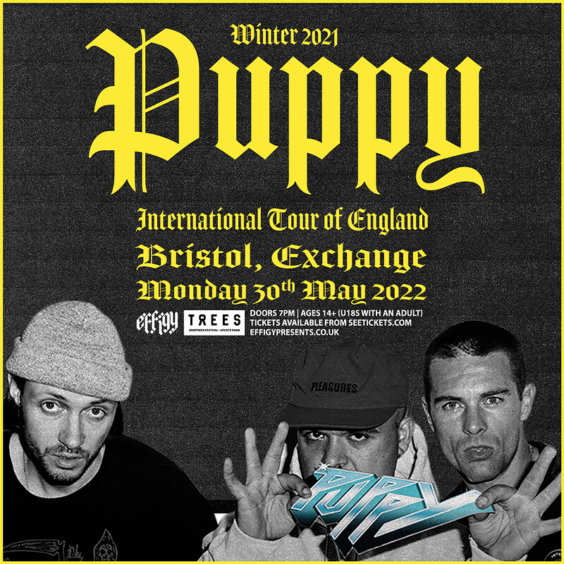 Puppy at Exchange