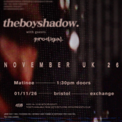TheBoyShadow at Exchange