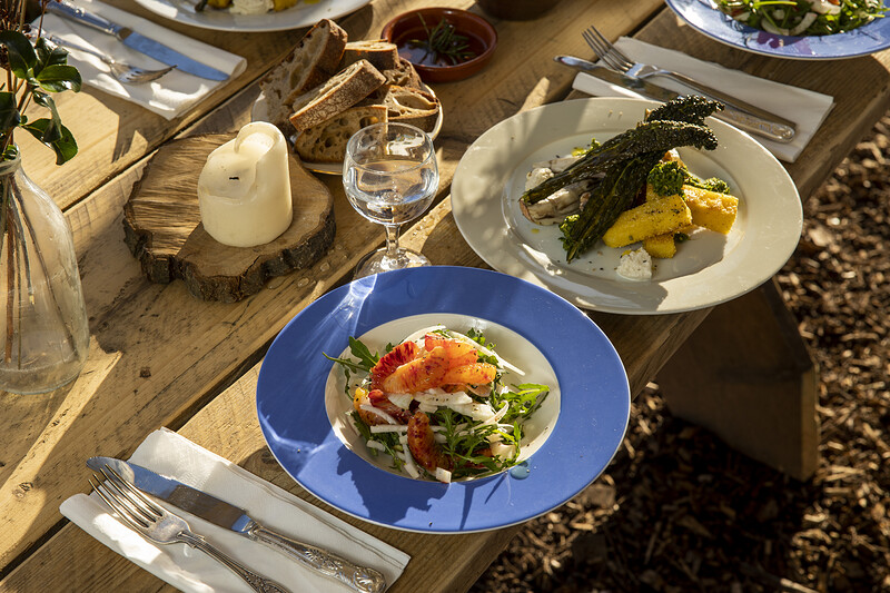 Spring Feast at Future Doughnuts, Oxford Street, Bristol