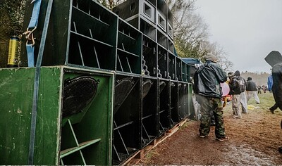 12 Hogs in Greenworks at Green Works