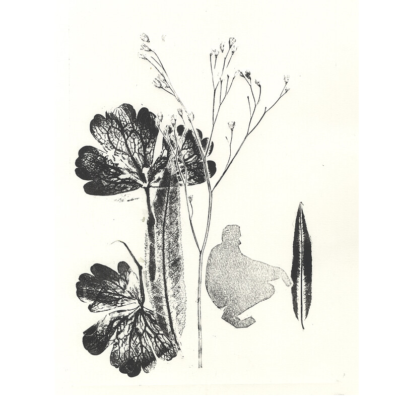 Botanical Printmaking at Grow Wilder