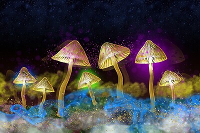 The Science of Psychedelics w/ Dr Chris Timmermann at Hen & Chicken