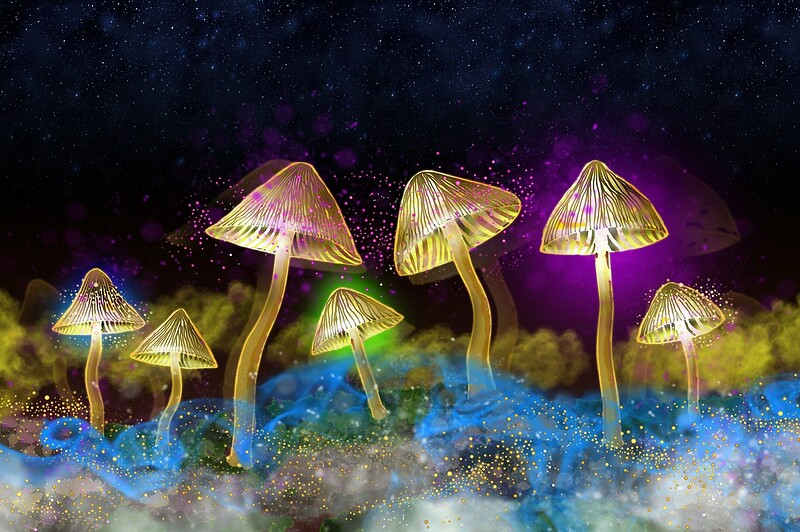 The Science of Psychedelics at Hen & Chicken