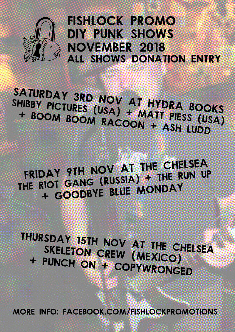 Shibby Pictures in Bristol at Hydra Bookshop