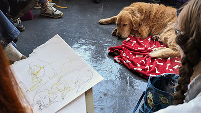 Dog Life Drawing at KIT FORM, 39 Jamaica Street, Bristol, BS2 8JP