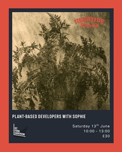 Plant-based developers - Workshop @ KIT FORM DARKROOM at KIT FORM