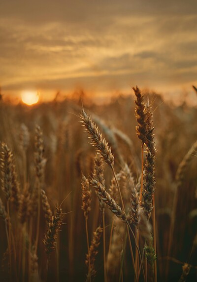 Autumn Equinox Rituals & Nature Craft Workshop at L'Étoile Studio