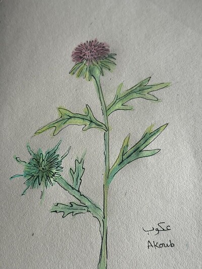 Craftivism presents; Preserving culture through creativity at L'Étoile Studio