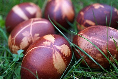 Rebirth & Renewal: Egg Decorating with Onion Skins & Plants at L'Étoile Studio