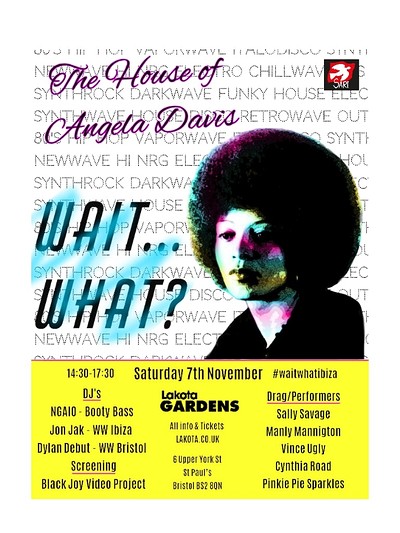 The House of Angela Davis at Lakota