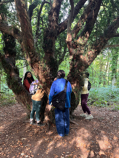 Creative Woodland Wanders at Leigh Woods