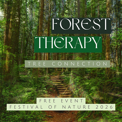 Forest Therapy - Tree Connection at Leigh Woods
