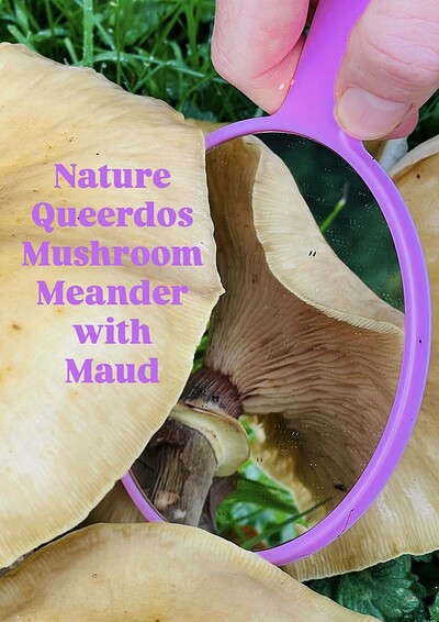 Nature Queerdos: Mushroom Meander with Maud at Leigh Woods