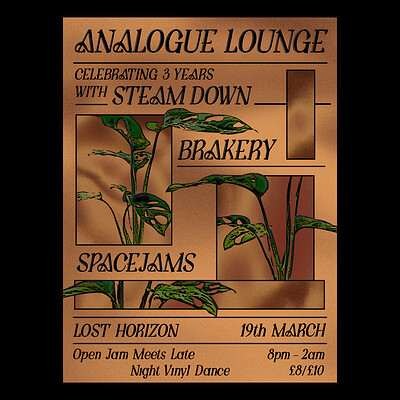 3 Years of Analogue Lounge w/ Steam Down at Lost Horizon