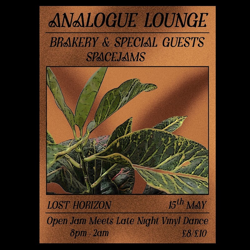 Analogue Lounge w/ Special Guests at Lost Horizon