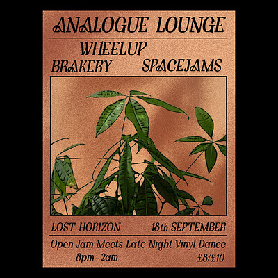 Analogue Lounge w/ WheelUP at Lost Horizon