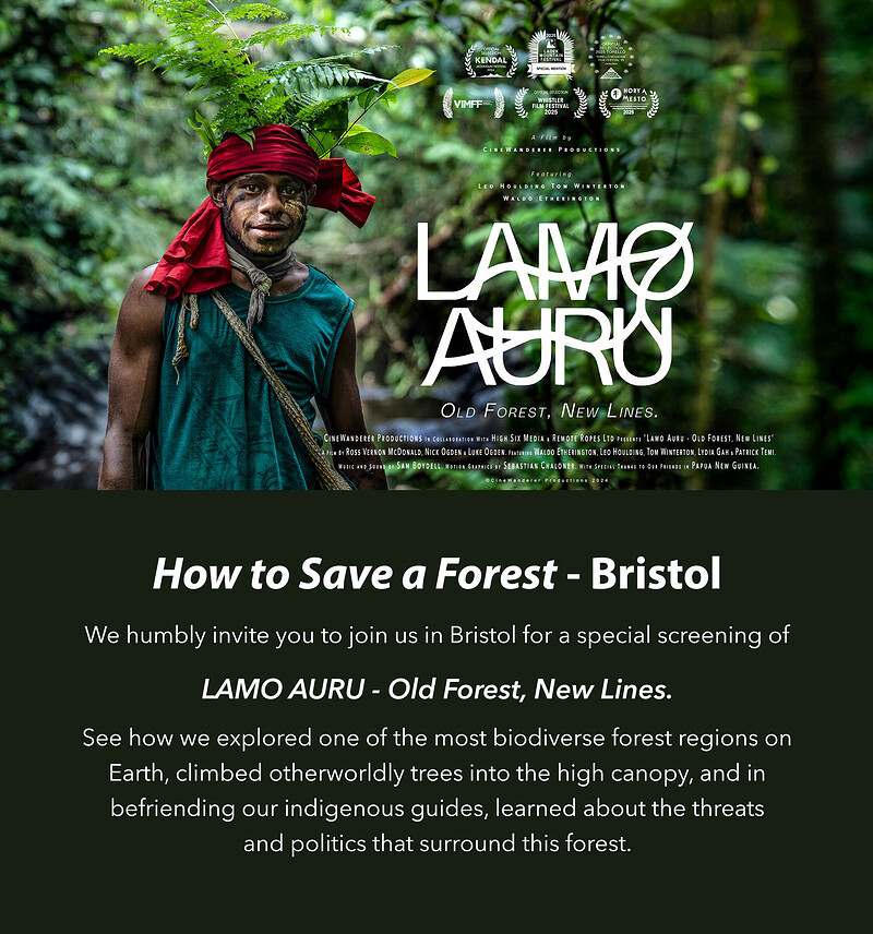 How to Save a Forest - Bristol at Malcom X Community Centre