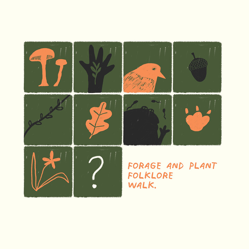 Forage and Plant Folklore Walk at Manor Woods