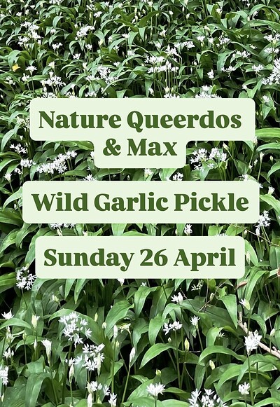 Nature Queerdos & Max - wild garlic pickle in the woods at Manor Woods
