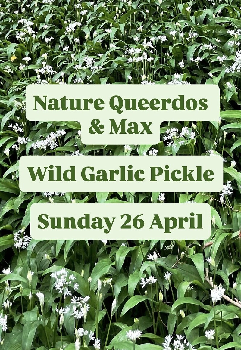 Nature Queerdos & Max - wild garlic pickle in the woods at Manor Woods