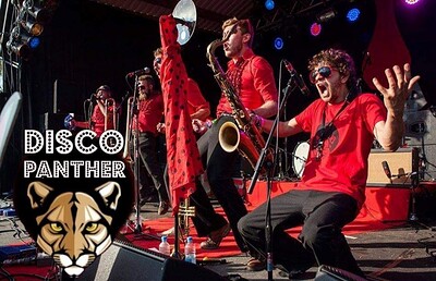Disco Panther at Mr Wolfs