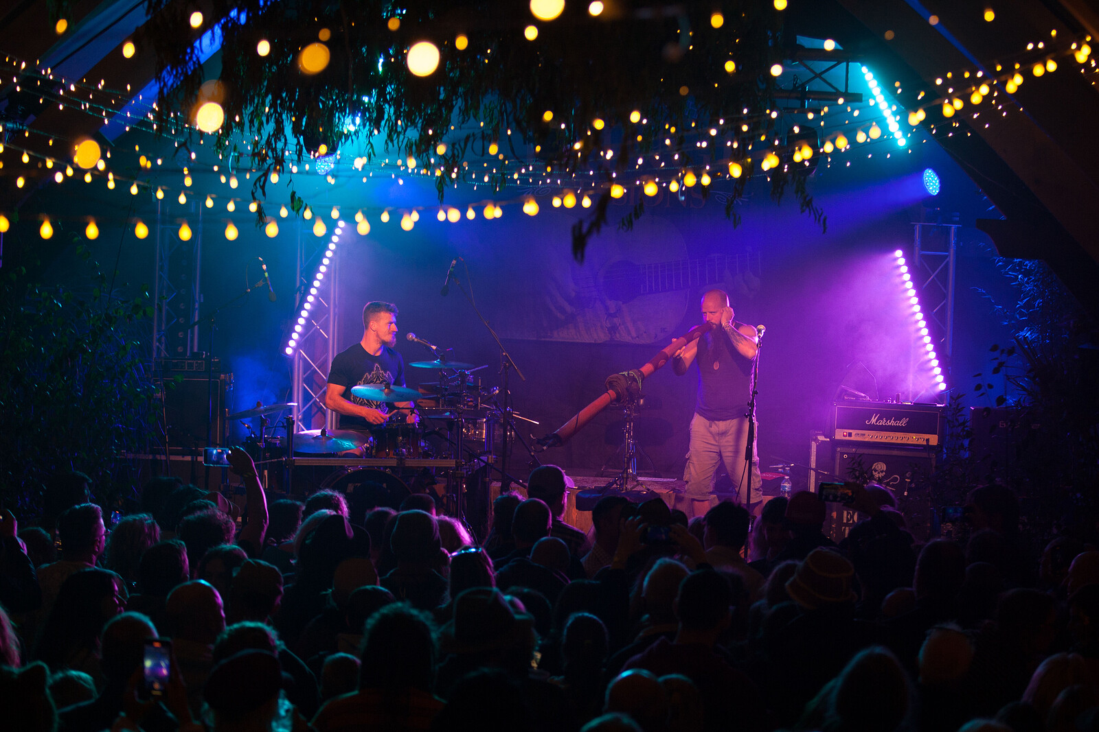 Echo Town at Mr Wolfs