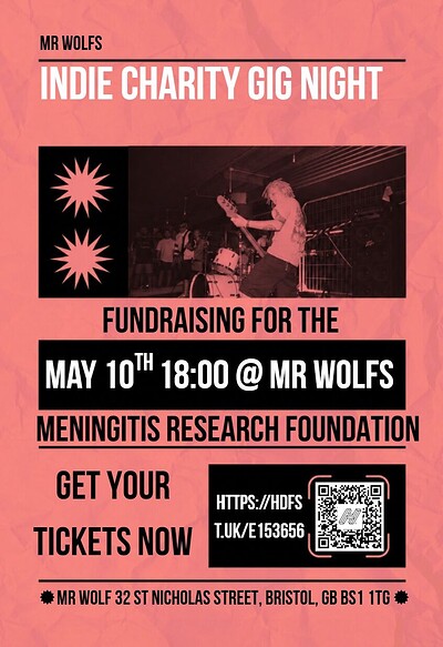 Indie Charity Gig Night at Mr Wolfs